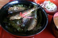 金樽いわしの桜干し