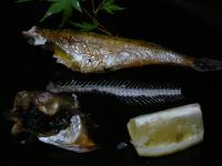 ハタハタの一夜干し(5匹入り)