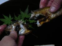 ハタハタの一夜干し(5匹入り)