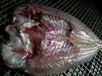 丹後ぐし(赤アマダイ)