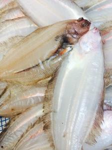 笹カレイ　一夜干し　(中サイズ)